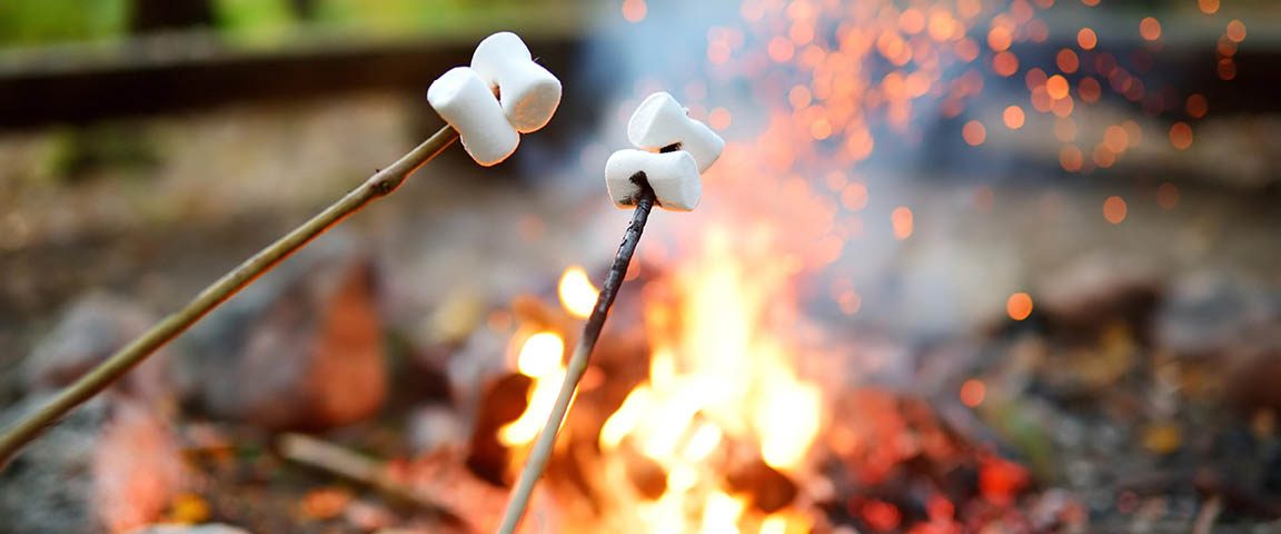 quiet camping in the fall at Jellystone Park Mill Run